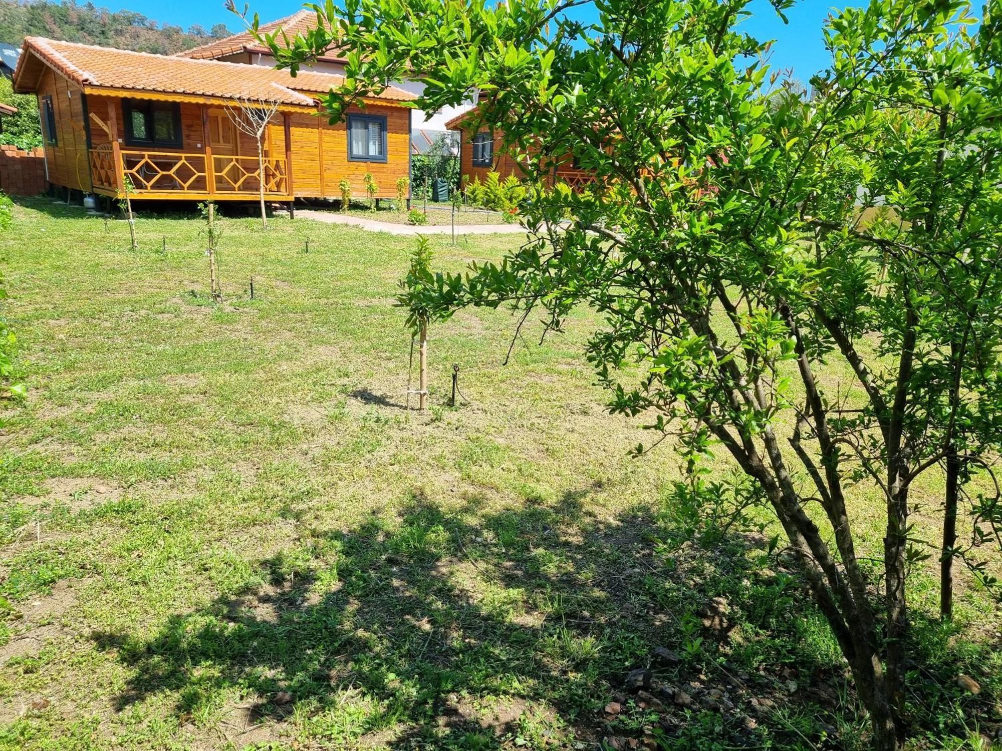 Ugur Pansiyon Bungalows Çıralı Buitenkant foto